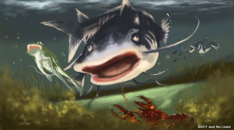 baraj mihailesti - bluecatfish.jpg